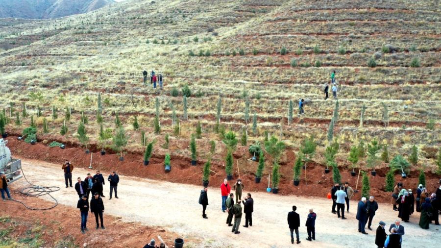 24 KASIM ÖĞRETMENLER GÜNÜNDE BİNLERCE FİDAN TOPRAKLA BULUŞACAK