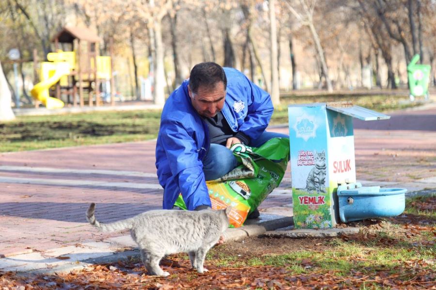 SOKAK HAYVANLARI UNUTULMADI