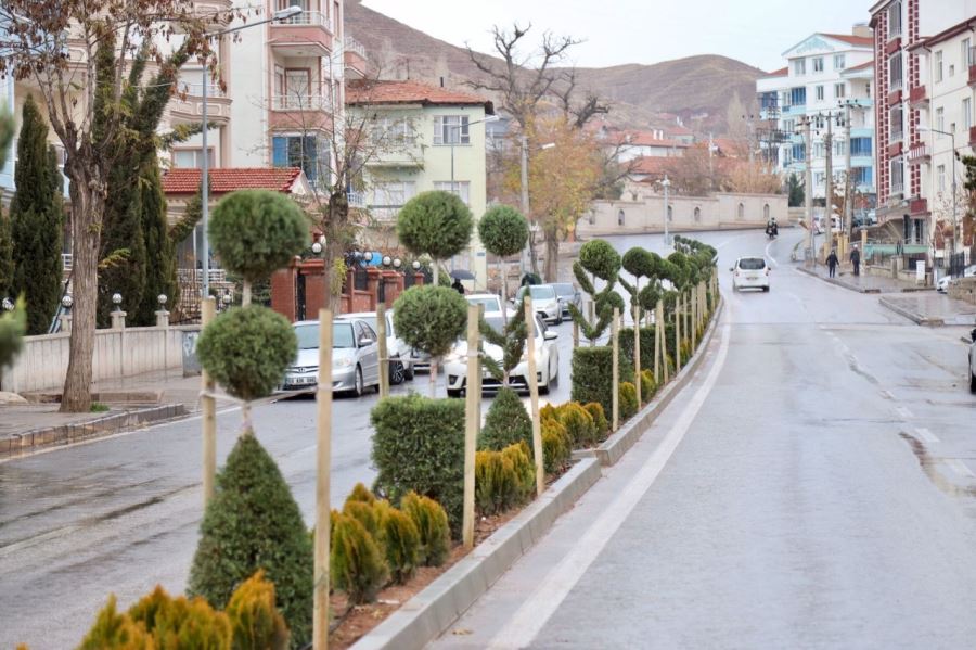 KURTULUŞ CADDESİ YEŞİLE BÜRÜNDÜ
