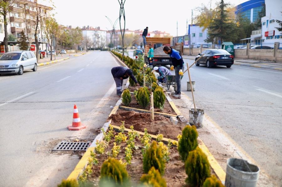 AKSARAY BELEDİYESİ PEYZAJ ÇALIŞMALARINA DEVAM EDİYOR