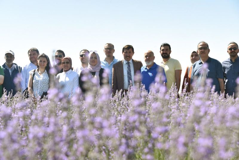 KARATAY BELEDİYE BAŞKANI HASAN KILCA, KARATAY LAVANTA BAHÇESİ’NDE KONYA BASINIYLA BULUŞTU
