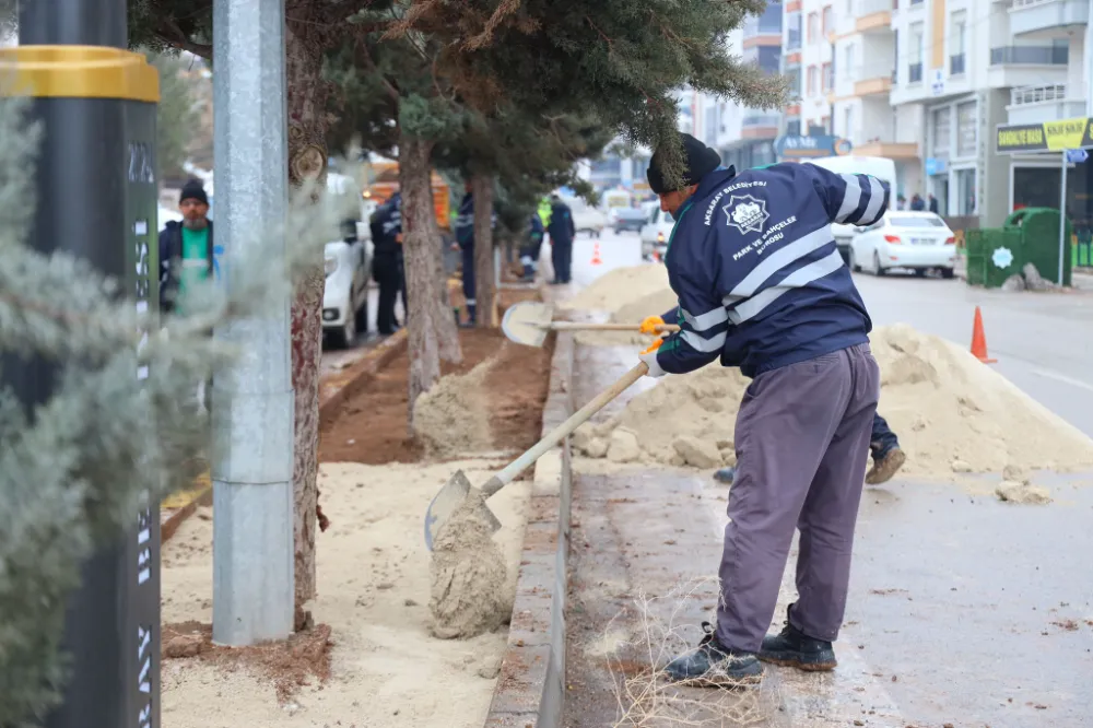 ACEM CADDESİ KURU PEYZAJLA GÜZELLEŞİYOR