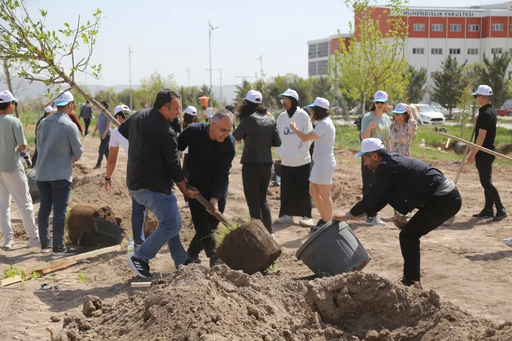 12 DÖNÜMLÜK ALANA FARKLI TÜRDE 350 ADET FİDAN DİKİLDİ