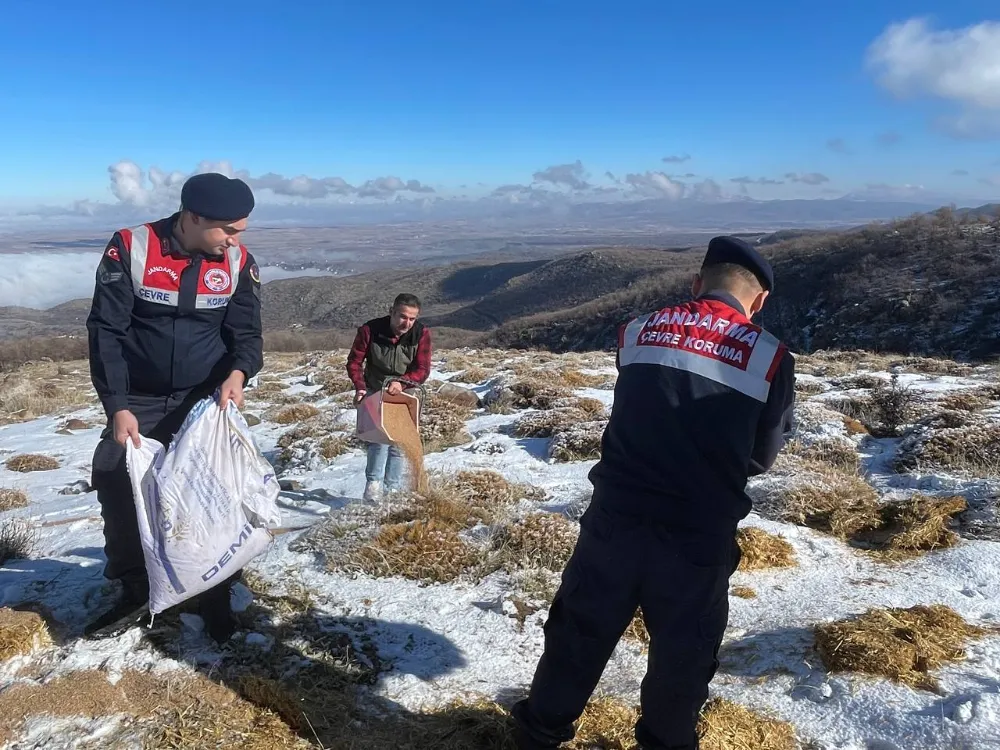 İl Jandarma Komutanlığı 