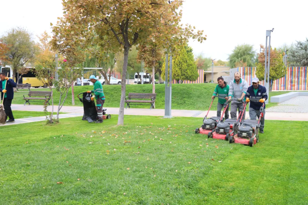 Yeşiller içinde, doğal yaşam alanı; Tematik Park