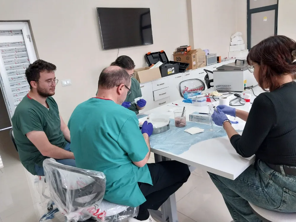 Aksaray Üniversitesi’nden genetik  devrim: Süt alerjenini taşımayan buzağılar doğdu