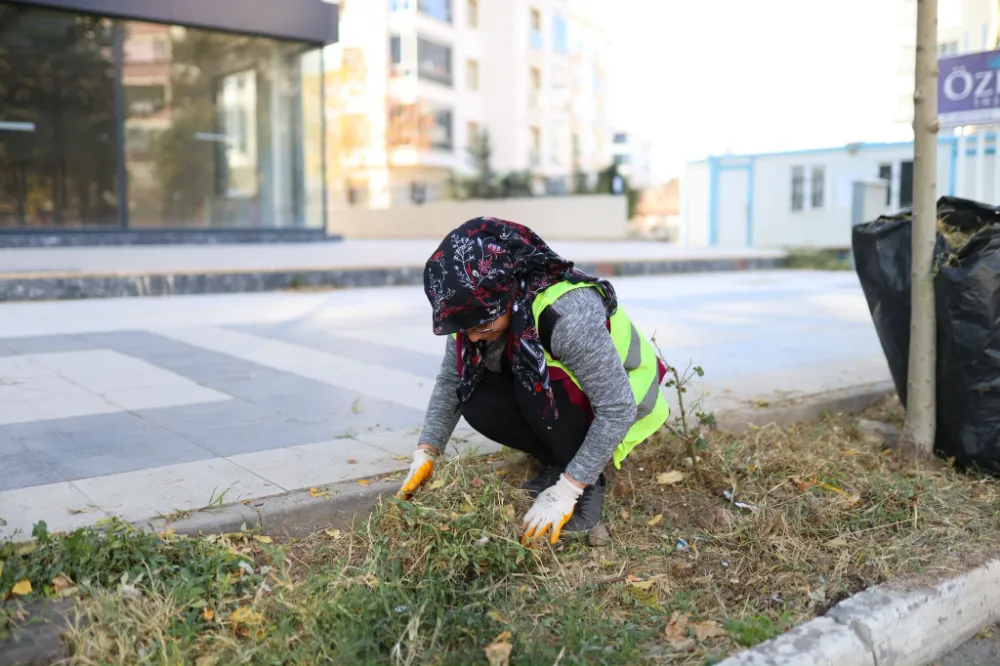 Şehrimizin estetik görünümünü korumak için sahadayız