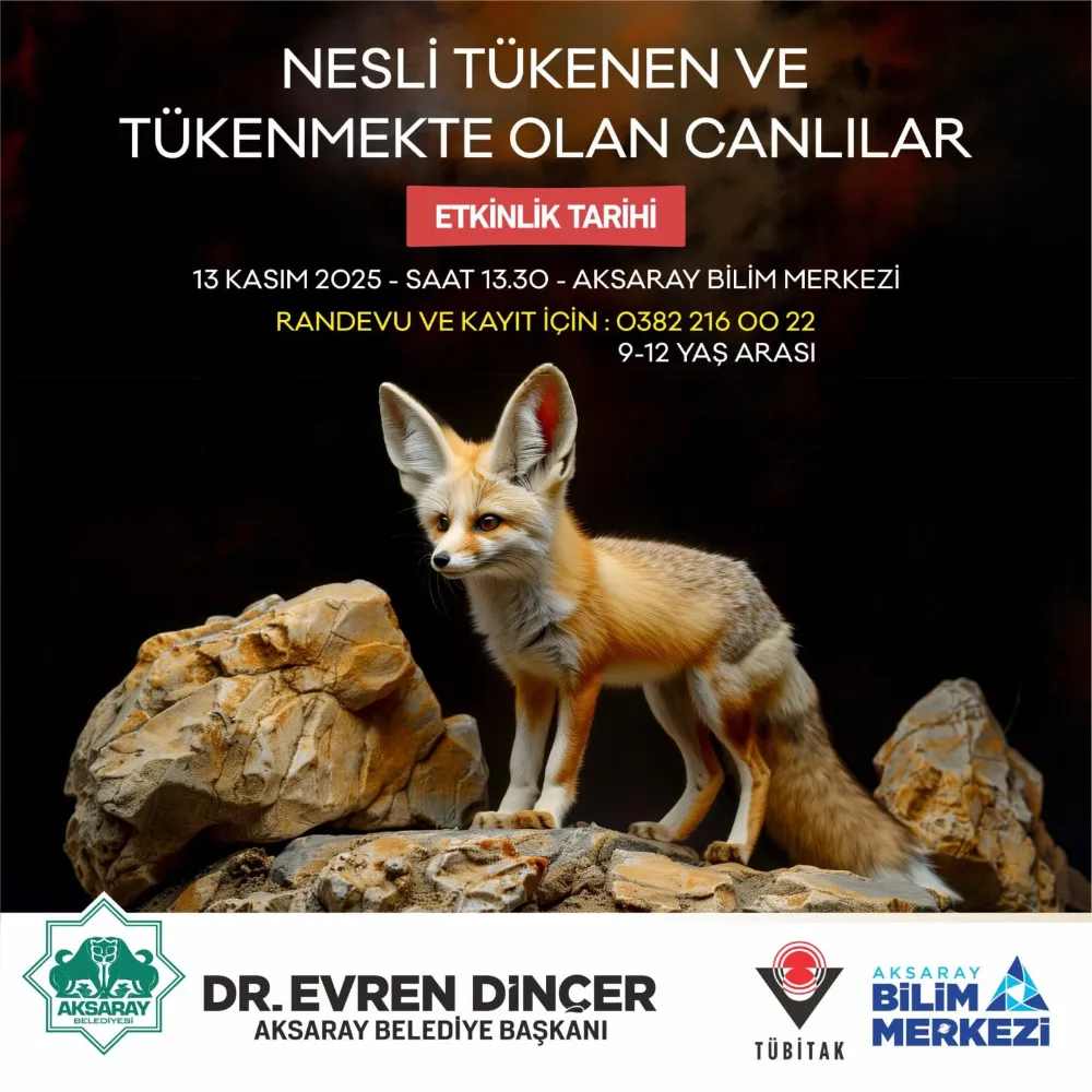 Bilimin Işığında Keşif Zamanı