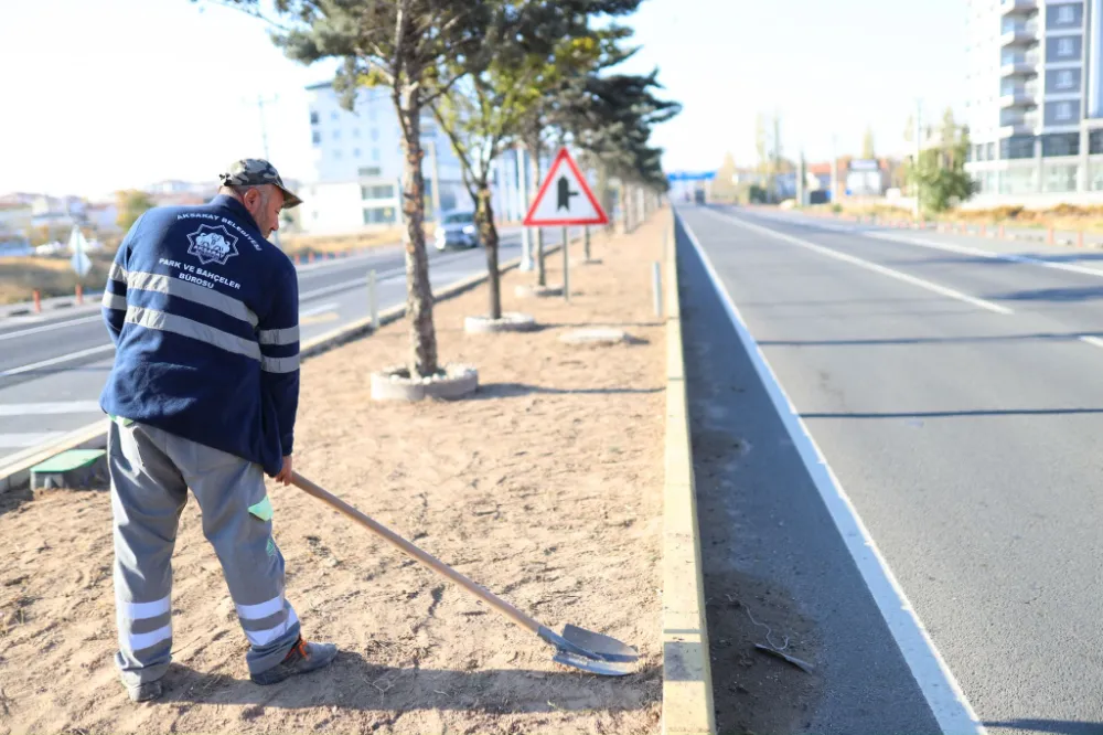 Yeşil alanlarımız, Aksaray