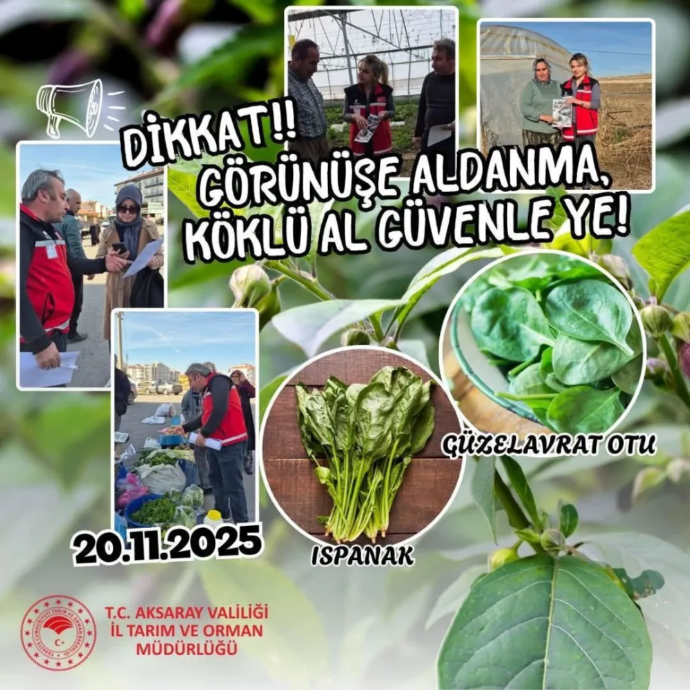 Ispanakta o ota aman dikkat