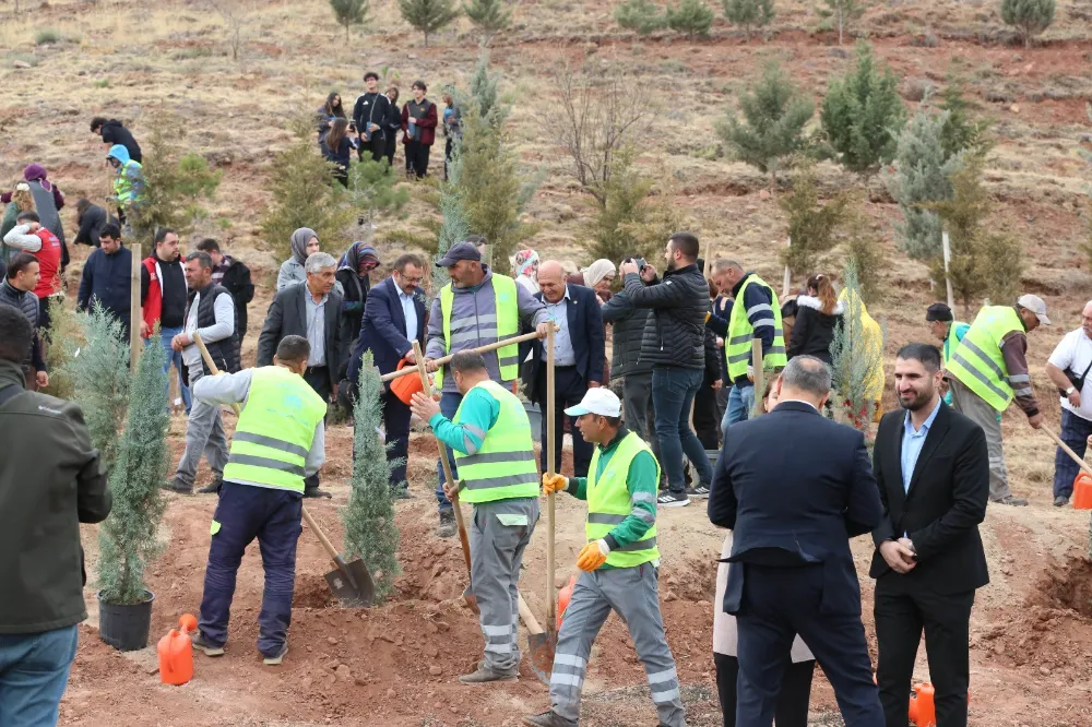 24 KASIM ÖĞRETMENLER GÜNÜ HATIRA ORMANINDA 5 BİN FİDAN TOPRAKLA BULUŞTU