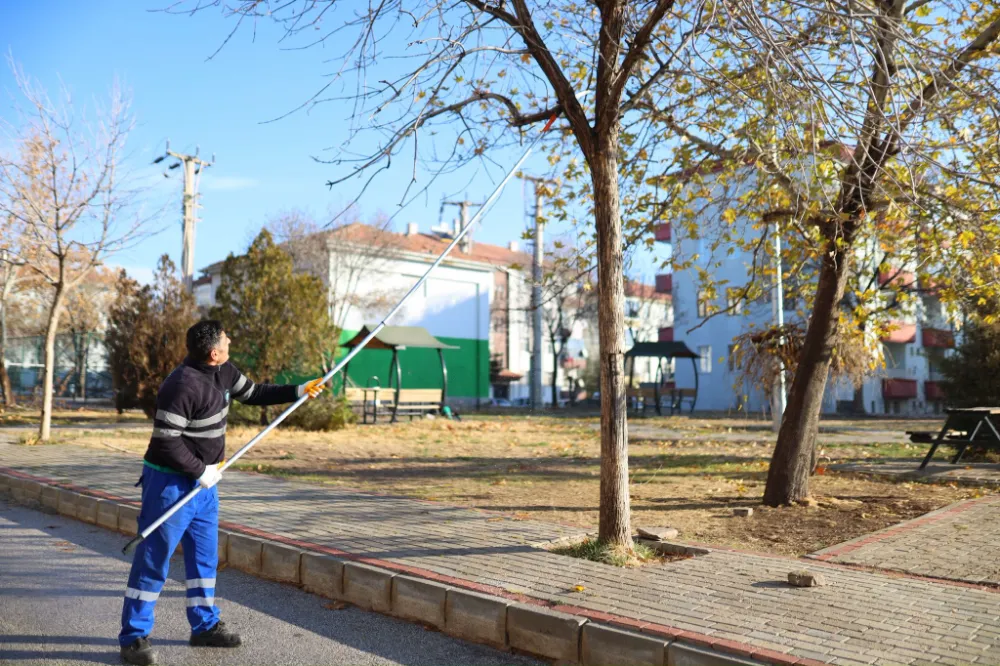 Şehrimizin nefes alanları daha sağlıklı büyüsün diye