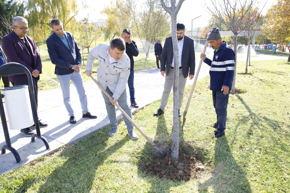 2025 AKSARAY İÇİN YEŞİL DÖNÜŞÜM YILI OLDU