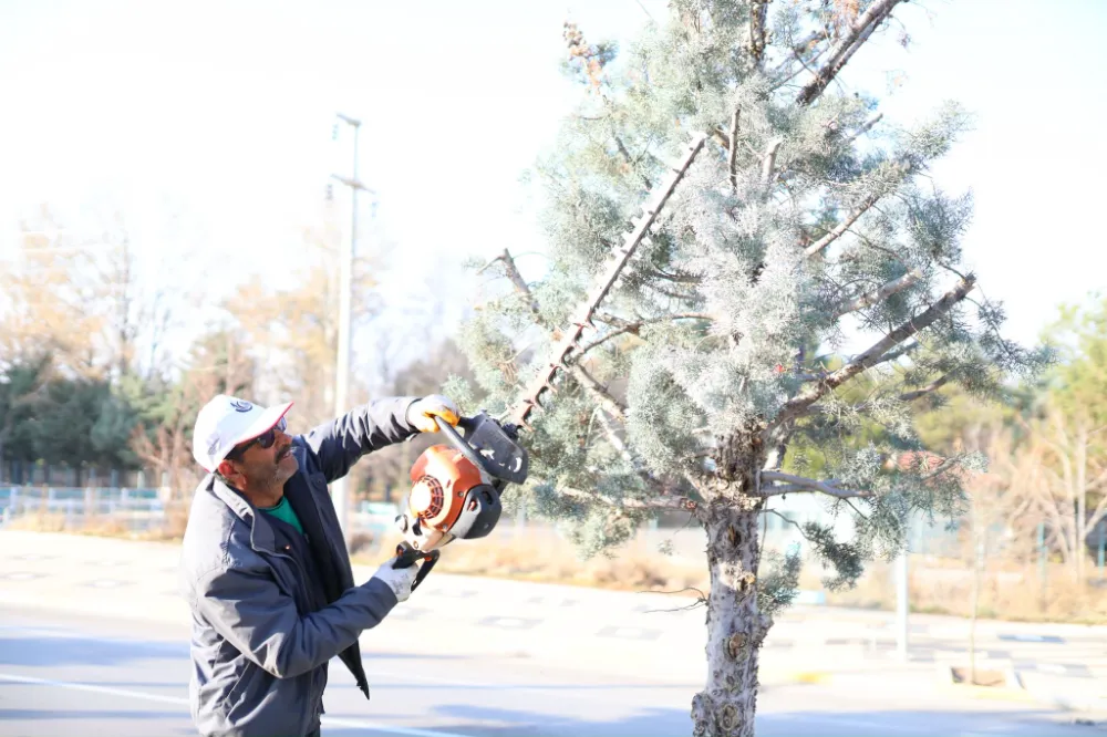 Her caddeyi, her refüjü, her yeşil alanı özenle güzelleştirmeye devam ediyoruz