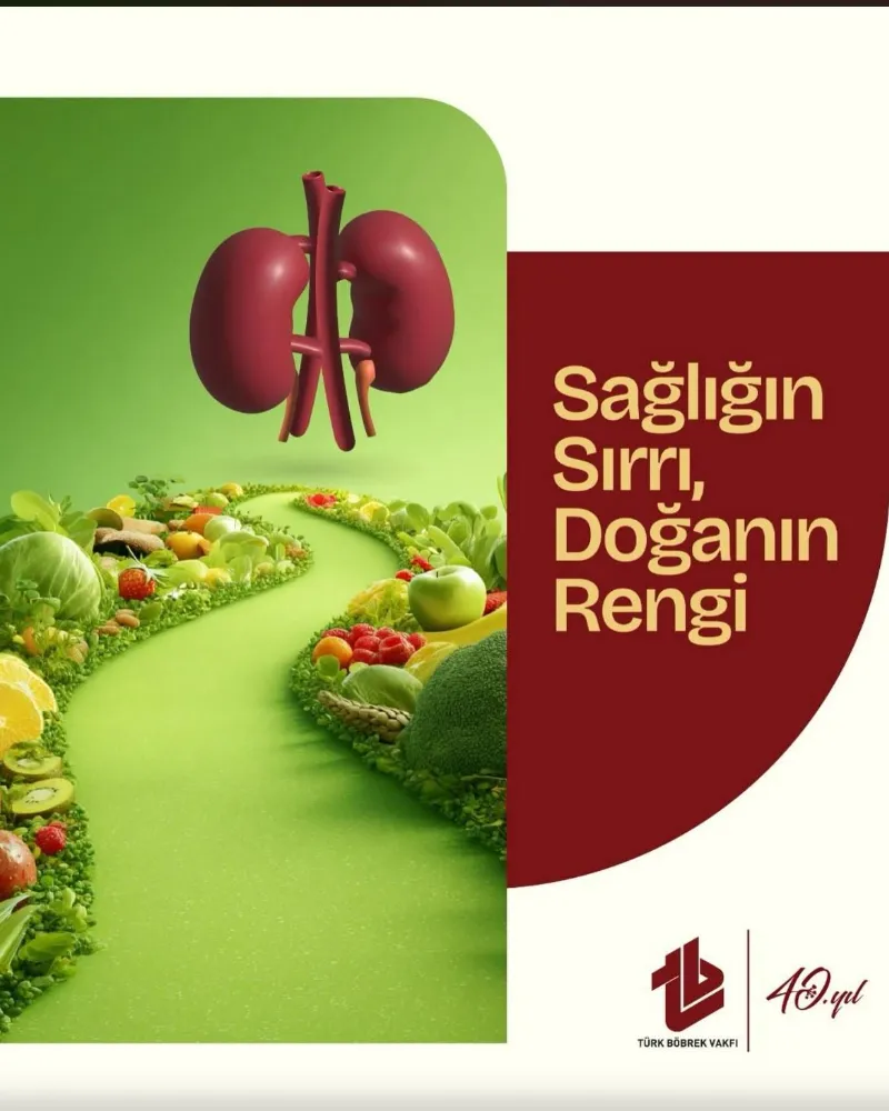 Sağlığın Sırrı Doğanın Rengi