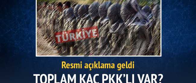 İşte toplam PKK'lı sayısı