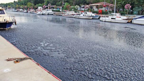 İşte Kurbağalıdere'deki Kabarcıkların Sebebi...