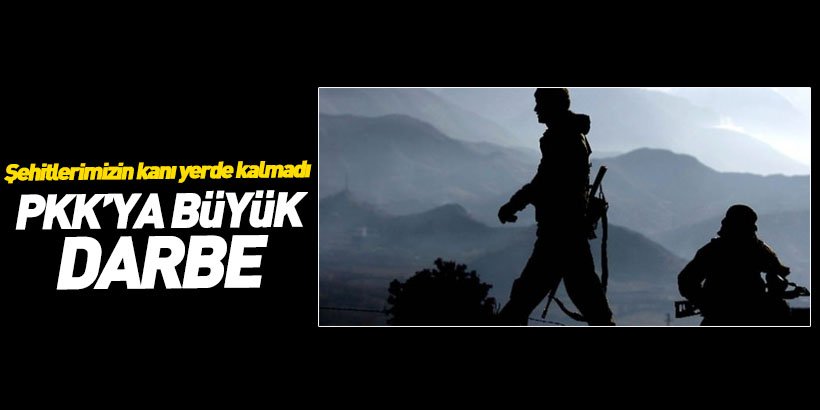 İşte Öldürülen PKK'lı sayısı