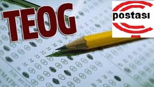 MEB den Teog Açıklaması